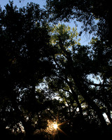 IMG_20190628_072155_018