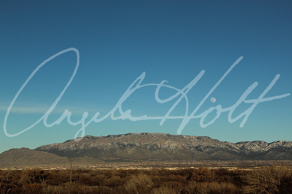 20190119164108_IMG_0713