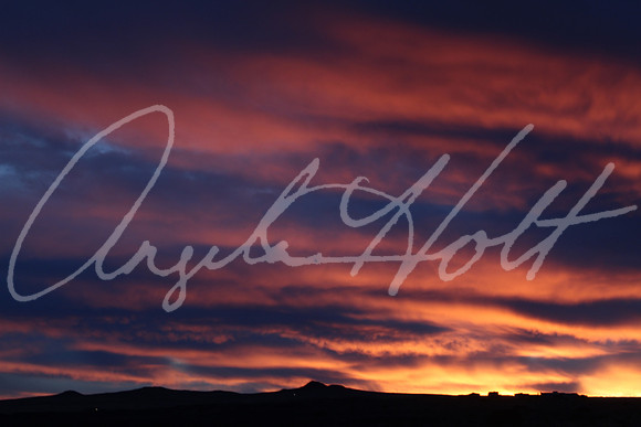 20190127173725_IMG_1178