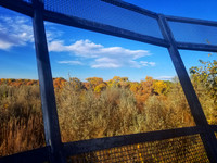 20181103_083257-01