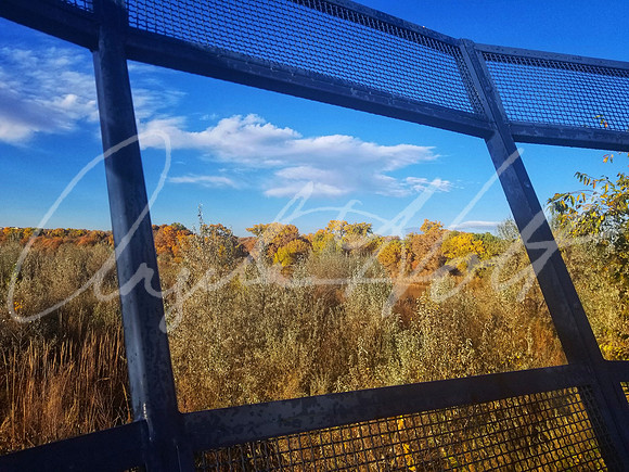 20181103_083257-01