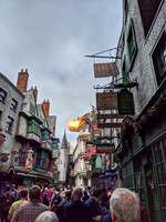 IMG_20191228_095029-01
