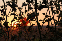 IMG_20190627_065537_136