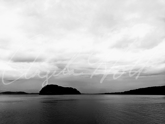 IMG_20191017_084157-01~2