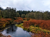 IMG_20191017_094221-01~2