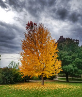 IMG_20181023_134030_507