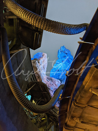 IMG_20191226_064214-01